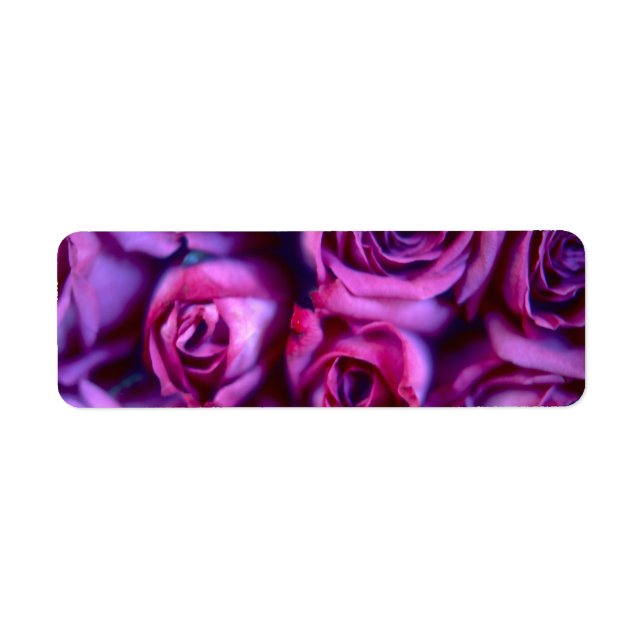 Roses (Front)