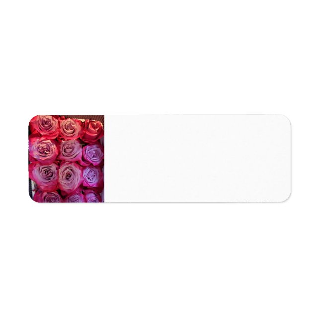 Roses (Front)