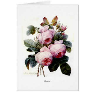 Roses