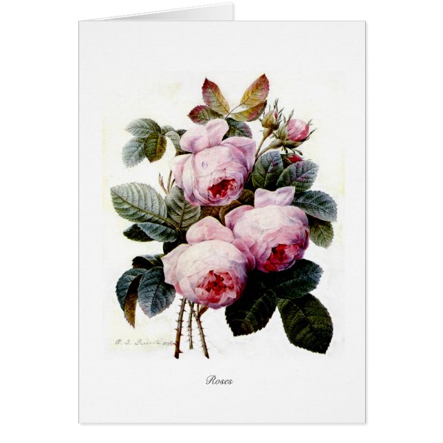 Roses (Front)