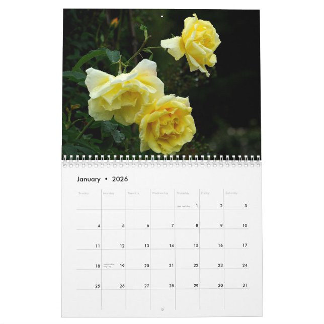 ROSES 2013 Wall Callendar Calendar (Jan 2026)