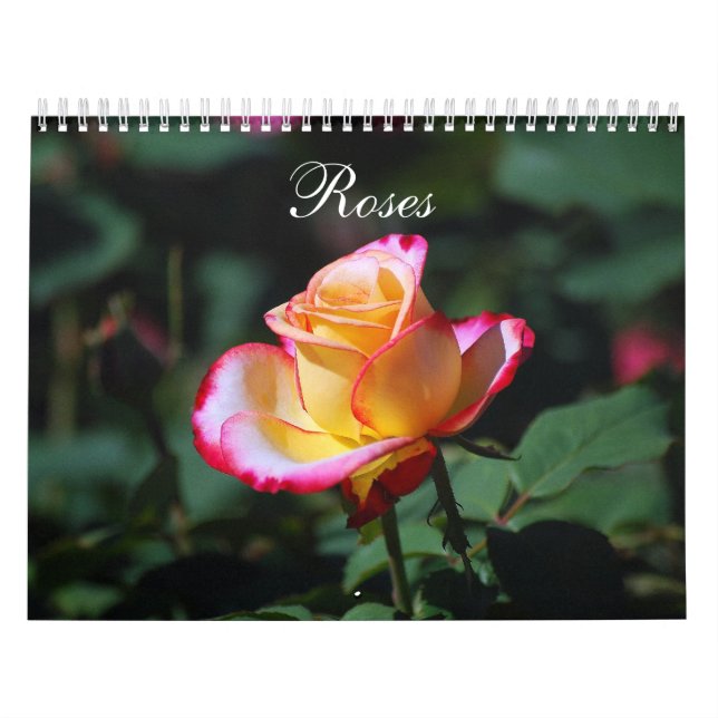 Roses 2020 calendar (Cover)