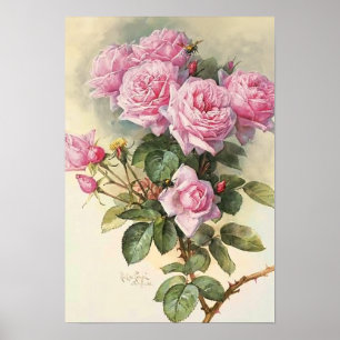 Roses and Bumblebees Paul de Longpre Fine Art Poster
