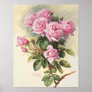 Roses and Bumblebees Paul de Longpre Fine Art Poster