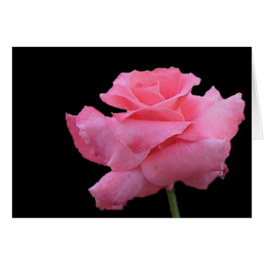 Roses and Chocolates Card
