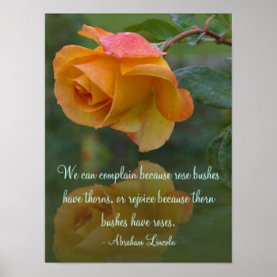 Roses and Thorns Inspirational Poster