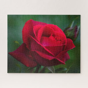 Roses Are Red 16"x20" difficult Jigsaw Puzzle