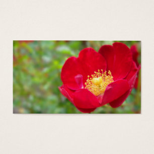 Roses Are Red Bookmarks