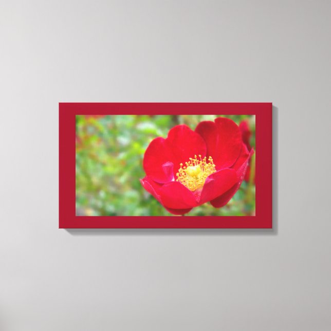 Roses Are Red Canvas Print (Front)