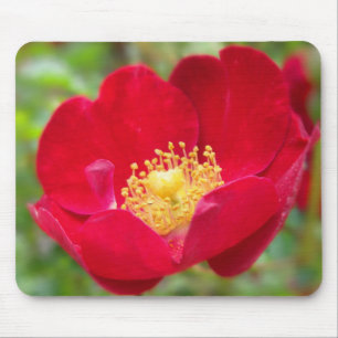 Roses Are Red Mousepad