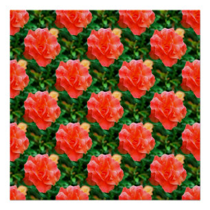 Roses are Red... Poster