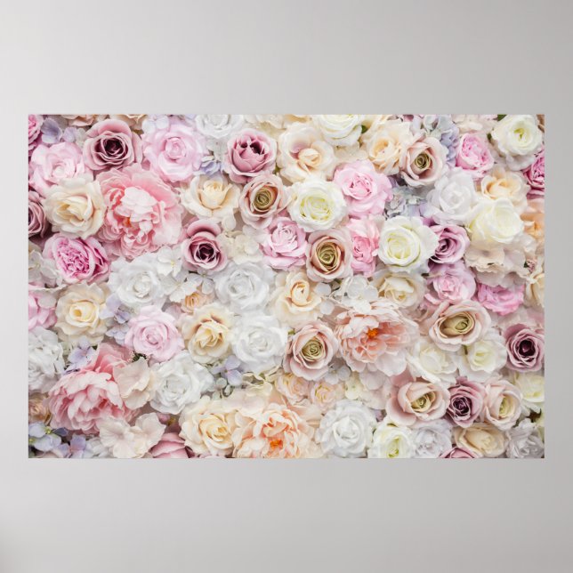 Roses Backdrop Poster (Front)