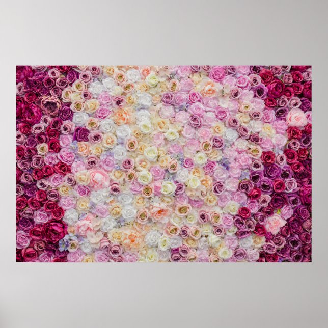 Roses Backdrop Poster (Front)