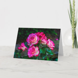 Roses Beauty Card