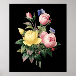 Roses bouquet Redoute black dramatic background Poster