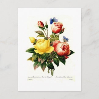 Roses by Pierre-Joseph Redouté Postcard