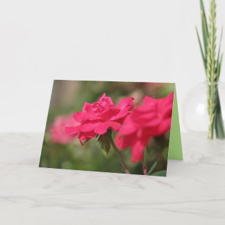 Roses Card