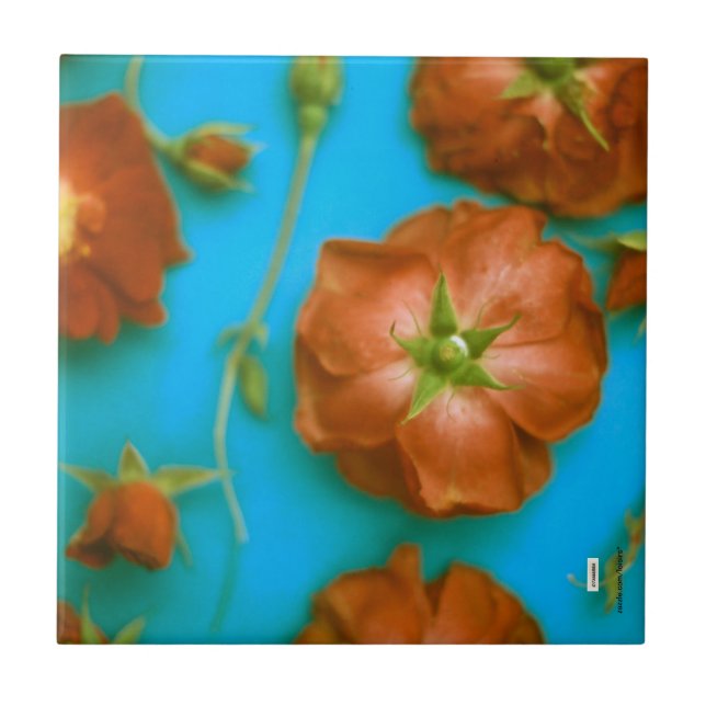 Roses Ceramic Tile (Front)