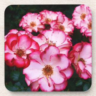 Roses Coaster