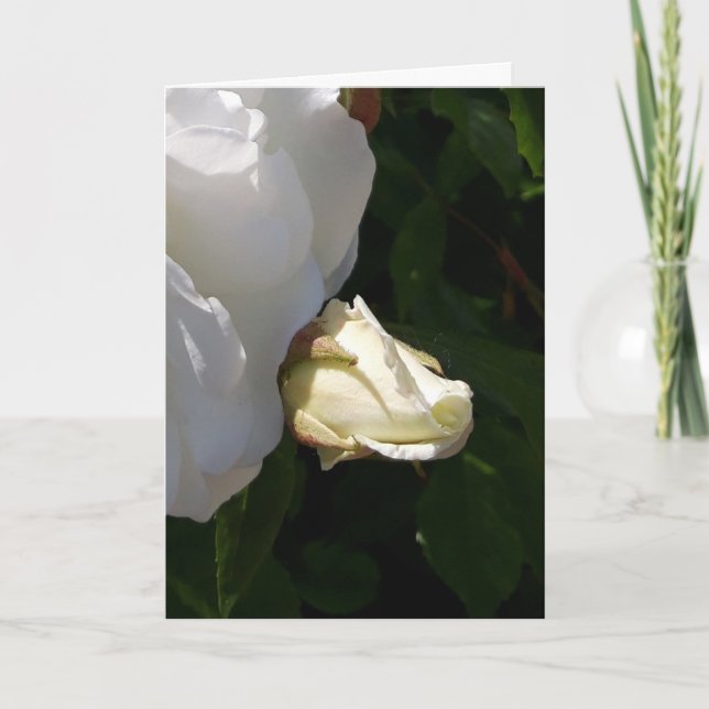 Roses flowers card (Front)