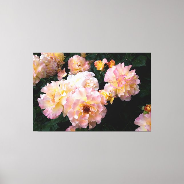 Roses Flowers , Pink Yellow Roses Canvas Print (Front)