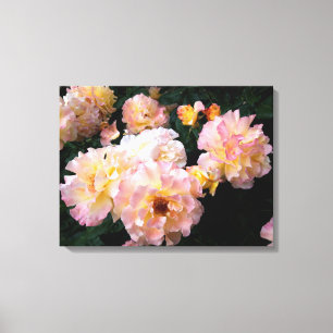 Roses Flowers , Pink Yellow Roses Canvas Print