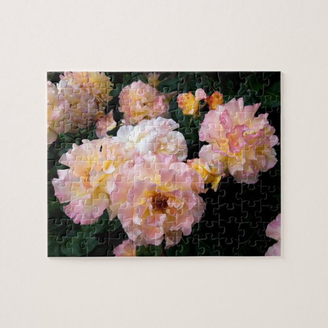 Roses Flowers , Pink Yellow Roses Jigsaw Puzzle (Horizontal)