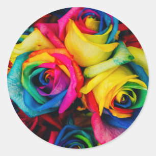 roses flowers rainbow cute pretty art colours  classic round sticker
