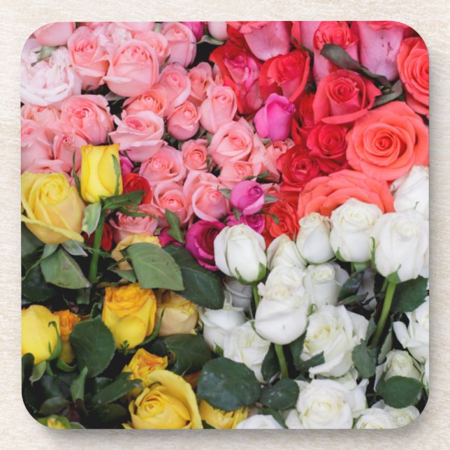 Roses for sale, San Miguel de Allende, Mexico Coaster (Front)