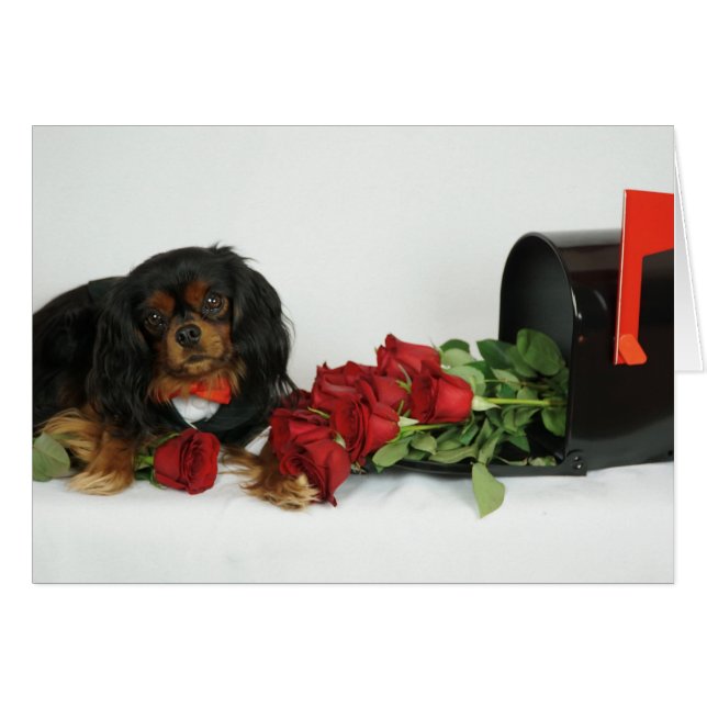 Roses for you (Front Horizontal)