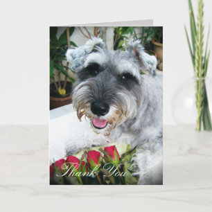 Roses For You - Thank You Card