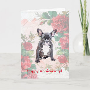 Roses French Bulldog Happy Anniversary Day Card
