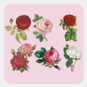 roses galore stickers