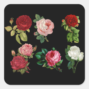 roses galore stickers