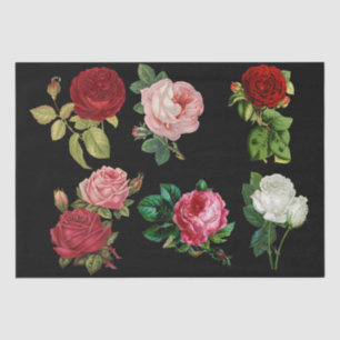 roses galore tissue paper
