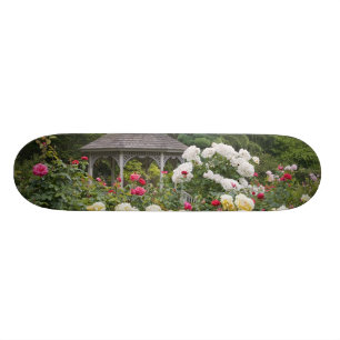 Roses in bloom and Gazebo Rose Garden at the Skateboard