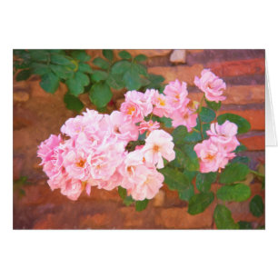 Roses In Bloom In Rome, Italy Inside Blank