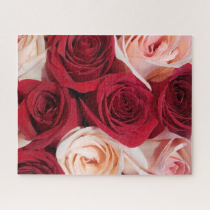 Roses in bloom pale pink and red 16x20 520 piece jigsaw puzzle