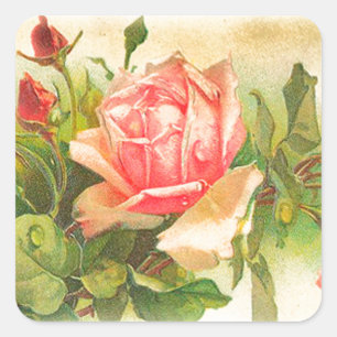 Roses in Bloom Square Sticker