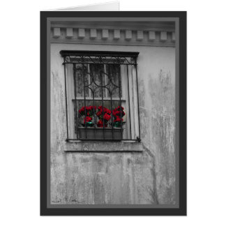 Roses in Window