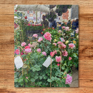 Roses Jigsaw Puzzle