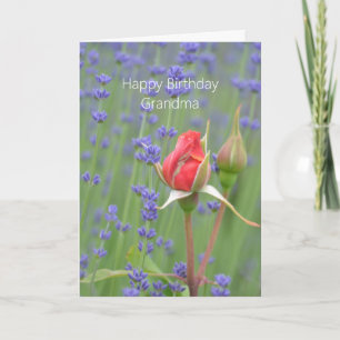 Roses Lavender Floral (my photography) Birthday Card