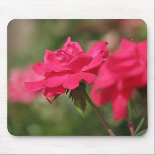Roses Mouse Mat
