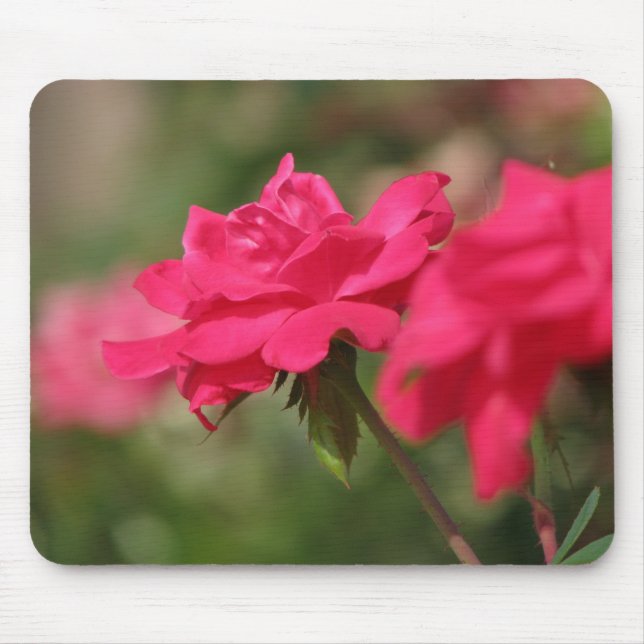 Roses Mouse Mat (Front)