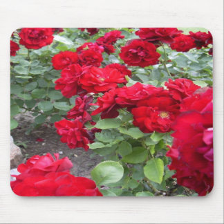 Roses mousepad