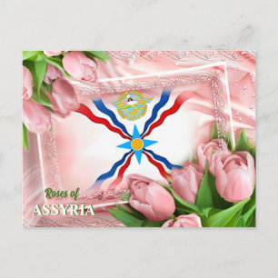 Roses of ASSYRIA Postcard