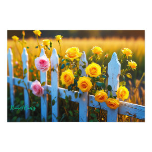 Roses on a White Picket Fence Photo Print