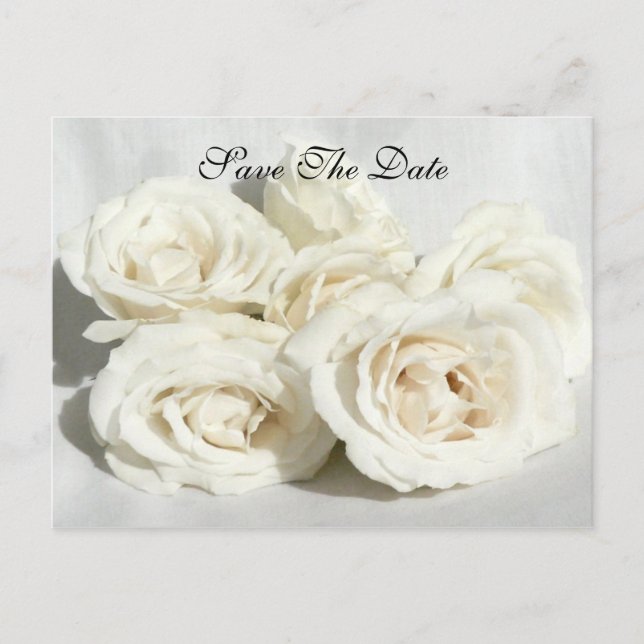Roses on Linen Announcement Postcard (Front)