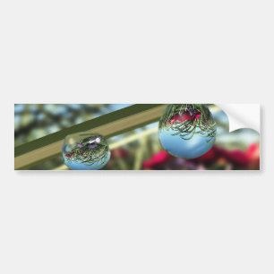 Roses on Raindrops Bumper Sticker