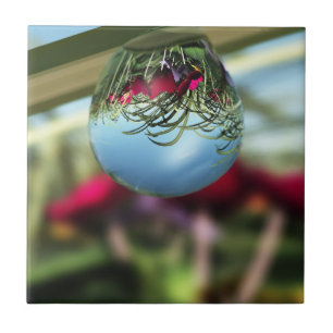 Roses on Raindrops Decorative Tile